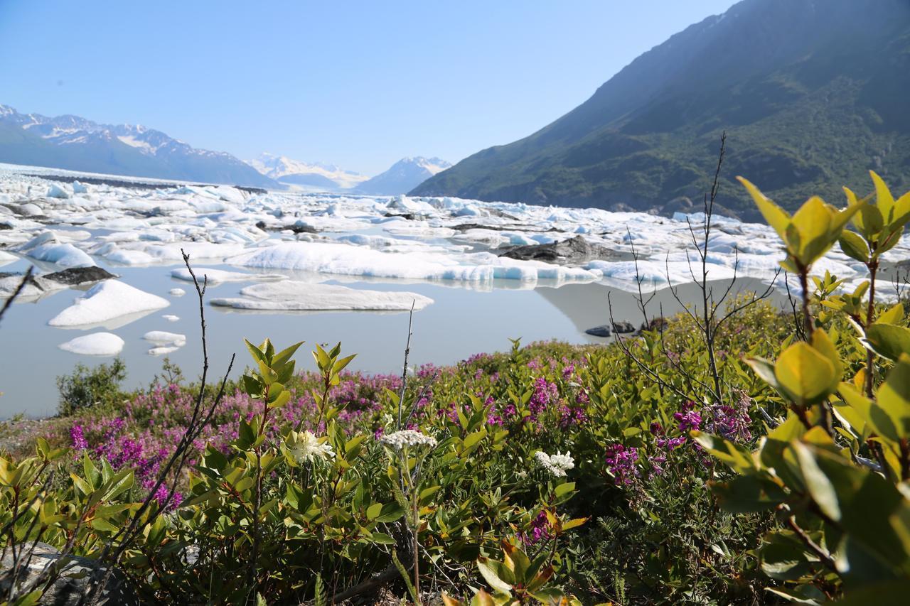 Alaska Glacier Lodge Палмер Екстер'єр фото